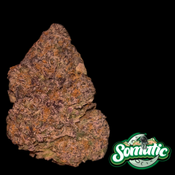 Coochie Runtz AAAA $100 an oz $150 double oz 