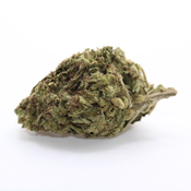 Cactus Breath - AAA+