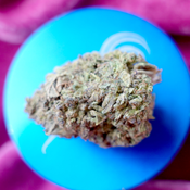 *Sum'r 🔥Sale* A2 Cookies (14g-$45/28g-$60/2oz-$100) (THC 27%) thumbnail 2