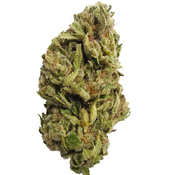 BC (AAA) LEMON MERINGUE  thumbnail 3