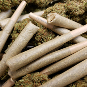 1Gram House Made Prerolls 7$