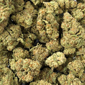 Black Cherry Punch (Premium Value) - 3oz @ $160, 4oz @ $200