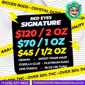 The Red Eyes Niagara 