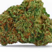 5A+ Snoop Dogg OG( limited small batch)