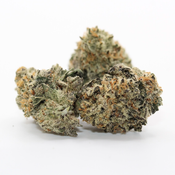 King Sherbet (small) - Premium AAAA - On Sale