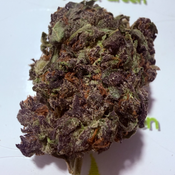 ******PURPLE THAI***** thumbnail 3