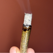 !$140/oz Stinky Pink thumbnail 2