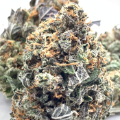 *NEW* Moonwalker 3A
