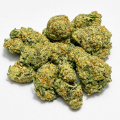 Animal Cookies