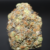 AAAA | BLACK GAS BY ROYAL GARDENS - 7G