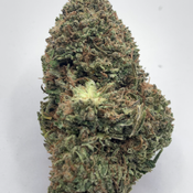 *NEW* Ghost of Mujahideen // 2oz $140