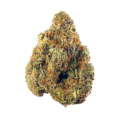 Hindu Kush