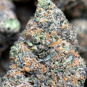 (28G) - Alien Blackout👽😵Indica | 2Oz Bulk Deal for $210 thumbnail 2