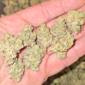 FROSTED FRUITCAKE 100OZ 2FOR180 4FOR340  thumbnail 2