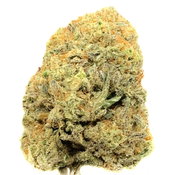 CALI BUBBA