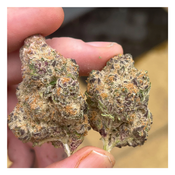 NEW Strawberry Cream 75$