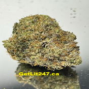"Premium" Blue Power - Hybrid 80% Indica/ 20% Sativa - THC 31%