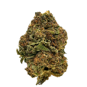 CHOCOLATE DOSI (Hybrid) $55 OZ | $125 3 OZ thumbnail 1