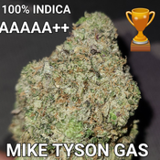# 70% OFF   8⭐ MIKE TYSON GAS (VERY STRONG, TASTY RARE INDICA) AAAAA+ ($110 OUNCE SALE) REG $390
