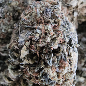 HIGH CITY CANNABIS 