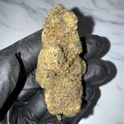 Blue Zushi • Hybrid • 29–33% THC • 1 OZ $100 • 2 OZ $150 • 4 OZ $320  thumbnail 2