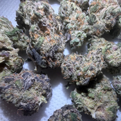 Ghost Train Haze Smalls 👻🚂 - 80/20 Sativa  thumbnail 2