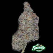  ⸻  MAC Donuts⭐️⭐️⭐️⭐️⭐️ – Sweet, Funky, and Powerfully Uplifting $120 an oz , $180 2 ozs