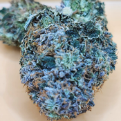 (5 STARS) Rockstar OG 💯🔥💣⛽️ 2 OZ FOR 250