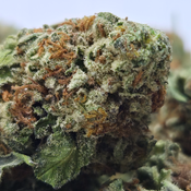 (NEW) Emerald Cookies 🍪 On Sale $70/Oz 2oz for $120 4oz for $220🔥!!  thumbnail 2