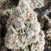 GARLIC BREATH $80oz 2FOR$150 4FOR$280 8FOR$540
