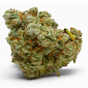 PURPLE KUSH