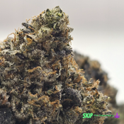 (NEW) Icy Pink ❄️🥀 ($200/Oz) 🔥 