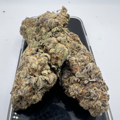 *NEW* King Kong Glue