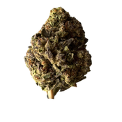 *********Secret Weapon