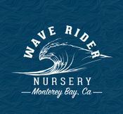 Wave Rider Nursery