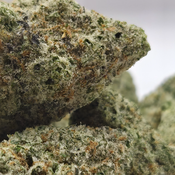 (NEW) Moby Dick 🐳  LIMITED STOCK thumbnail 2