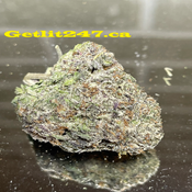 Premium "CDS #1" - Hybrid - THC 30-33%