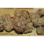 Sunset Sherbert thumbnail 4