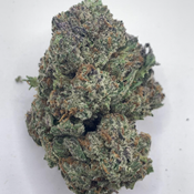 *NEW* Gastro Pop // 2oz for $160