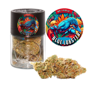 Blue Lobster – 7g Jar