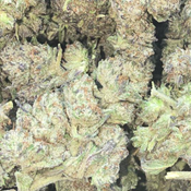 PRE 98 BUBBA KUSH AAAA  $70oz 2FOR$130 4FOR$240 thumbnail 2