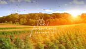 The Farmhouse Cannabis Co. - Burlington