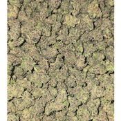 FRUMPZ 100OZ 2FOR180 4FOR340 thumbnail 3