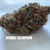(AAAA) Double Scorpion 