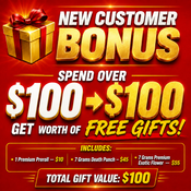 New Customers Bonus  🎁 Spend $100 → Get $100 FREE