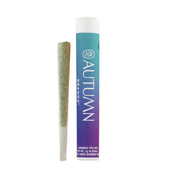 Purple Push Pop 1g Preroll