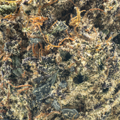( AAAA ) Khalifa Mints ( LSO ) 29% THC | $108/Oz thumbnail 2