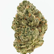 $200 FOR QP - Cali OG Kush 