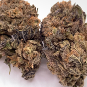 *NEW* Girl Scout Cookies 4A (small mugs)