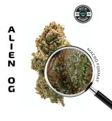 Alien OG (Hybrid) — 3.54g Premium Flower